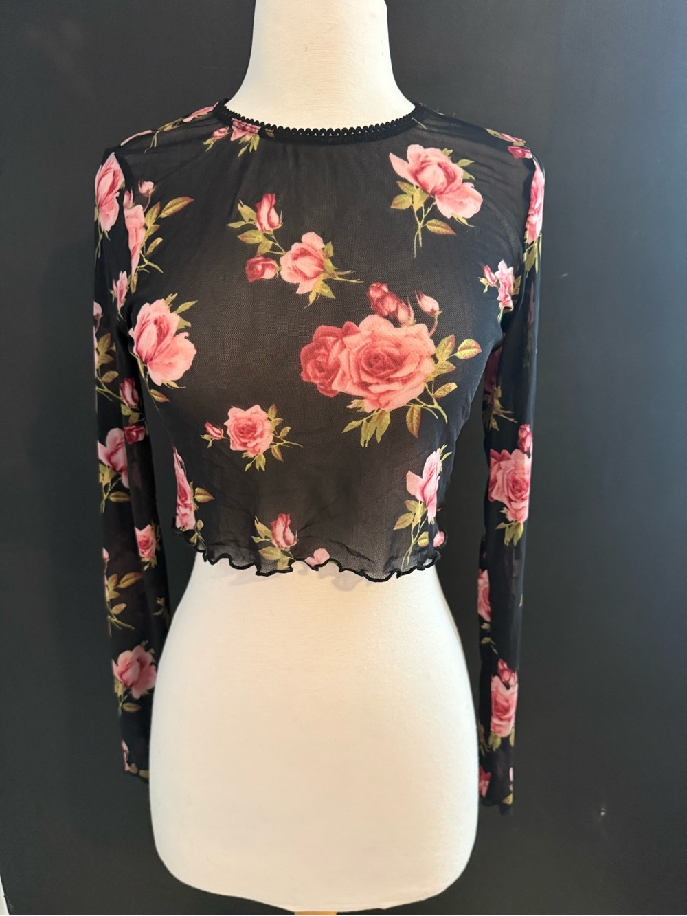 Forever 21 Black Sheer Long-Sleeve Crop Top with Pink Rose Print